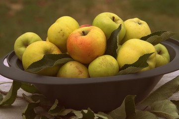 coupe de pommes d'automne,fruit de saison