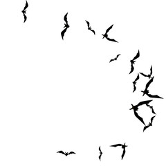 Halloween background with black bats on white. Halloween party card background template. black flying bats.