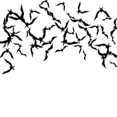 Halloween background with black bats on white. Halloween party card background template. black flying bats.