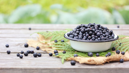 Forest blueberries in bowl. Empty space for text on the left.