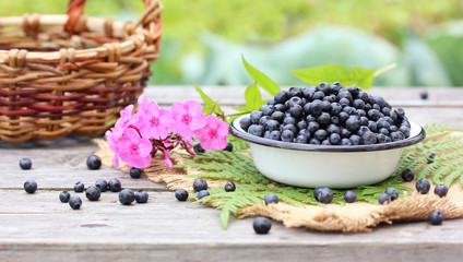 Forest blueberries. Berries in a bowl, still life.