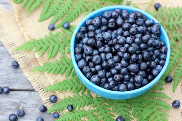 Forest blueberries. Berries in a plate, top view.