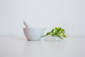 Alternative herb medicine. Pestle/mortar with herbs, scientific research concept