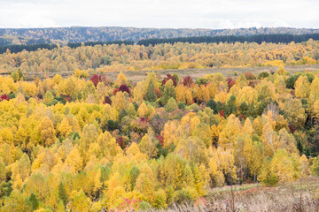 Autumn landscape, autumn forest.