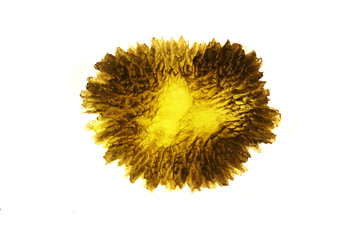 moldavite mineral isolated