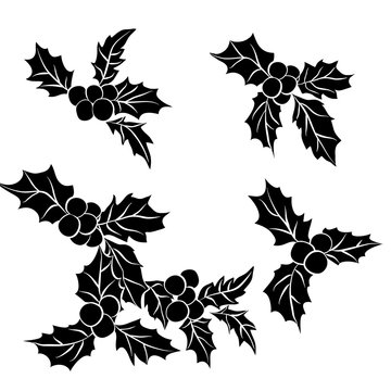 set of Christmas holly leaves.Black silhouette of Holly traditional Christmas decoration