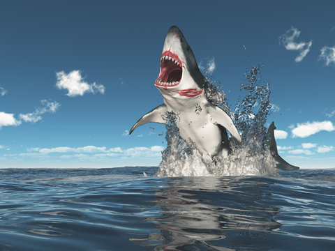 Weißer Hai springt aus dem Wasser