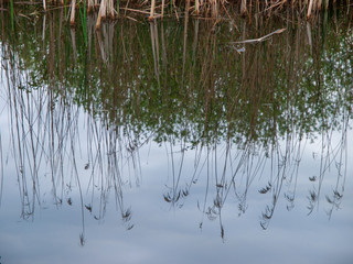 Weerribben en Wieden