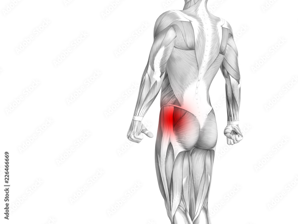 Wall mural conceptual hip human anatomy with red hot spot inflammation articular joint pain for leg health care