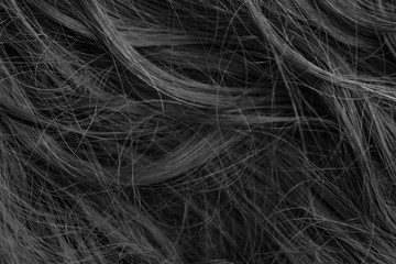 Black and white long hair texture background