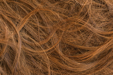 Brown long hair texture background