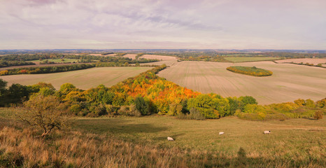 Fototapeta na wymiar Beautiful Berkshire Landscape