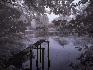 infrared photography - ir photo of landscape with tree under sky with clouds - the art of our world...