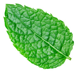 Obraz premium mint leaves isolated
