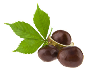 Chestnuts isolated on white background
