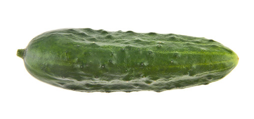 green juicy fresh cucumber isolated on white background. As an element of packaging design.
