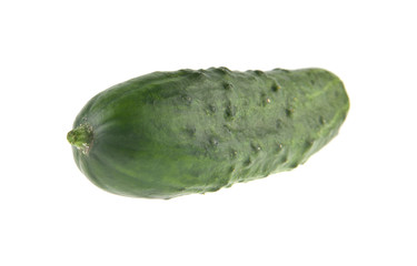 green juicy fresh cucumber isolated on white background. As an element of packaging design.