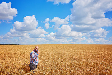 Naklejka na ściany i meble farmer smokes electronic cigarette and call in a ripe field of wheat with blue sky