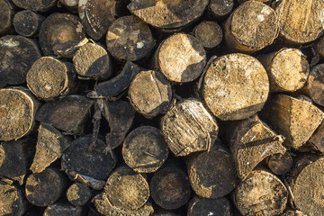 Stacked and cut wood timber bitmap texture