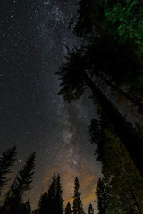 Milchstraße am Sternenhimmel im Kings Canyon / Sequoia National Park (Kalifornien)