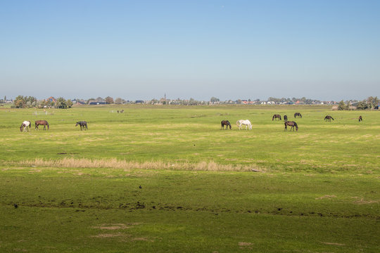 Polderlandschaft in Holland