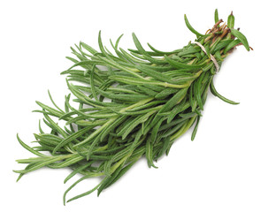 rosemary branch isolated on white background.