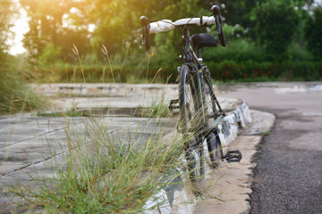 Fototapeta na wymiar Sport Bicycle parked on street city park on morning.
