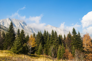 Mountain landscape in autumn, yellow grass and trees, peak in clouds in distance.