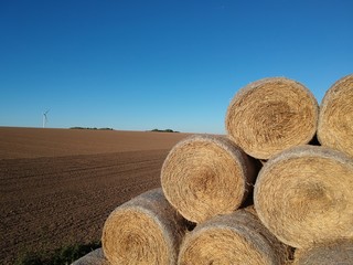 Strohballenzeit