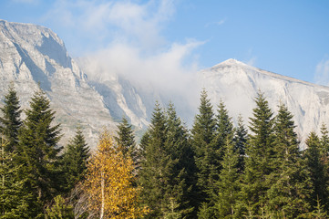 Mountain landscape in autumn, yellow grass and trees, peak in clouds in distance.