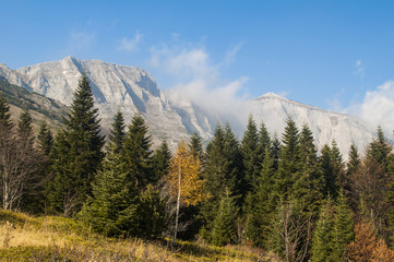 Mountain landscape in autumn, yellow grass and trees, peak in clouds in distance.