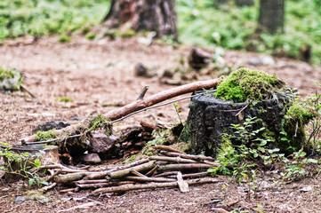 home for elves