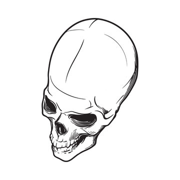 Human Skull hand drawing. Top angle. Black linear drawing isolated on white background. EPS10 vector illustration