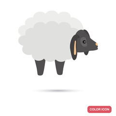 Sheep to read for insomnia color flat icon