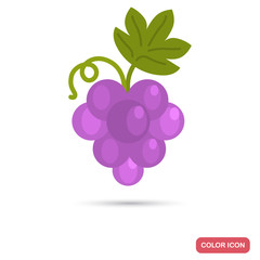 Bunch of grapes color flat icon
