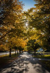 Fototapeta premium Jesienne klimaty