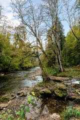 Naklejka na ściany i meble German mountain stream flowing through the forest
