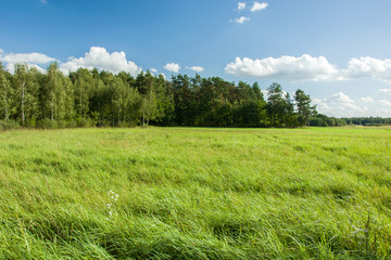 Fototapeta premium Meadow and forest, clouds in the sky