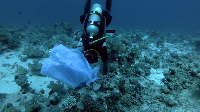 scuba divers picks up trash from the seabed - Red Sea, Marsa Alam, Egypt