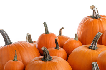 Heap of orange pumpkins