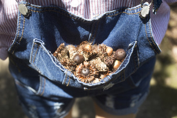 Acorns in jeans pocket