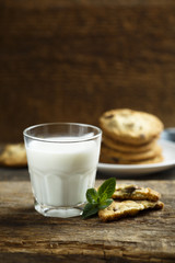 Homemade chocolate chip cookies