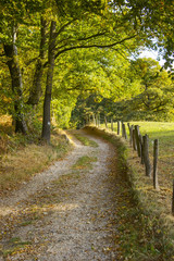 Fototapeta na wymiar Autumn in the Lower Rhine Region, Germany