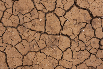 dry cracked earth