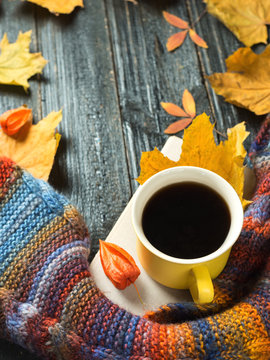 Autumn comfort. Mug of hot coffee with a colorful scarf with colorful autumn leaves on wooden background copy space