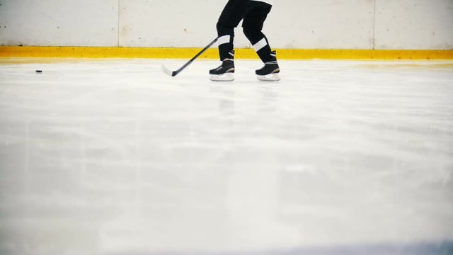 Hockey players are training on the ice before the match. View of legs