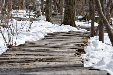 a walkway made of wooden boards 