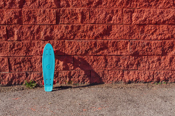 Blue plastic skateboard penny board with pink wheels.