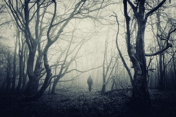 man in scary halloween forest, dark fantasy landscape