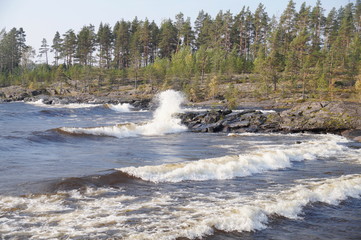 Foaming waves on the Bay of the lake with a rocky shore. On Bank is growing a rare wood. A clear day, windy.